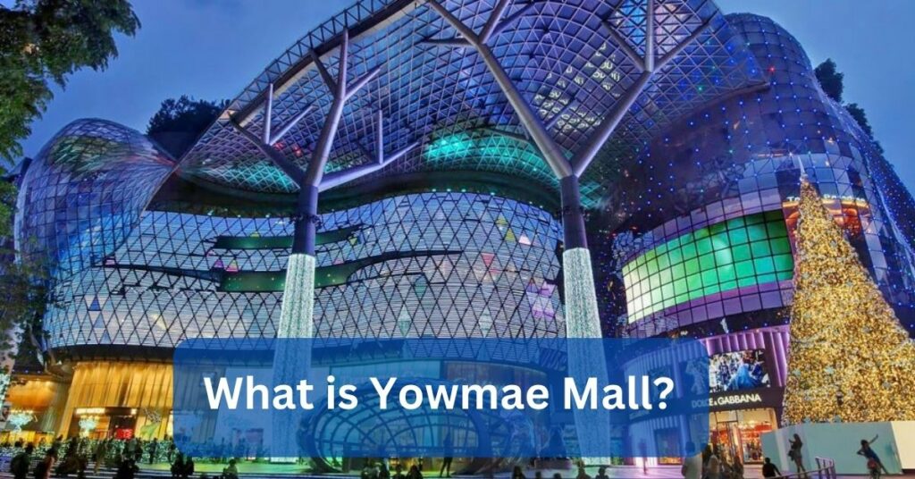 What is Yowmae Mall