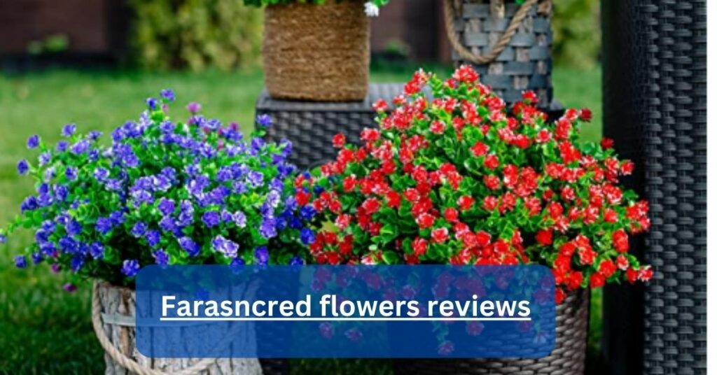 Farasncred flowers reviews