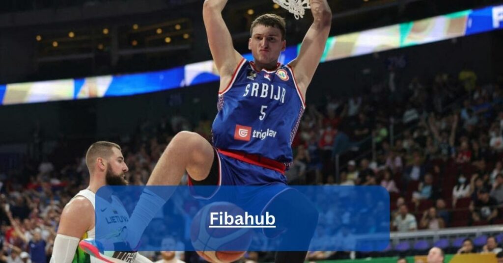 Fibahub