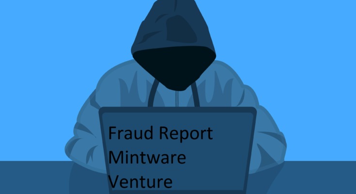 Fraud Report Mintware Venture  Supervision Agencies