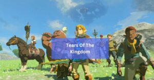 Tears Of The Kingdom